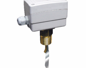 Flow Switches